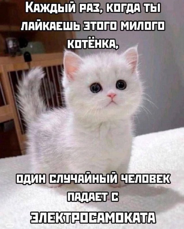 Скрины из соцсетей