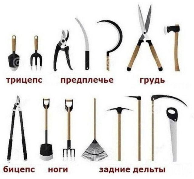 Скрины из соцсетей