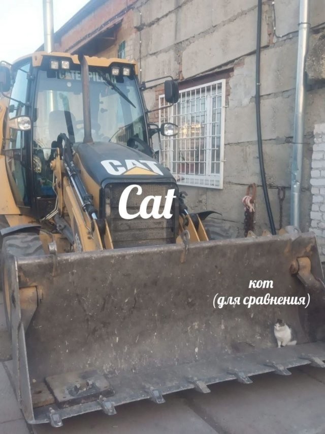 Скрины из соцсетей