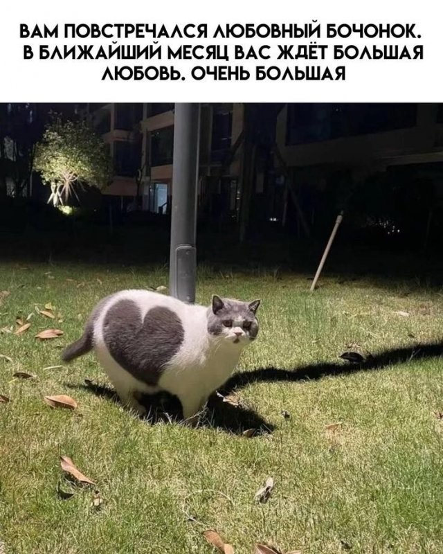 Скрины из соцсетей