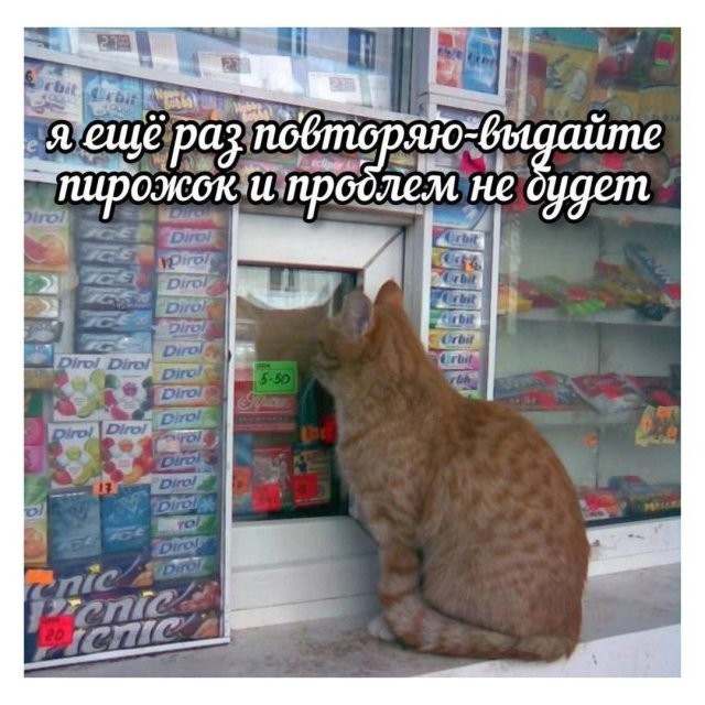 Скрины из соцсетей