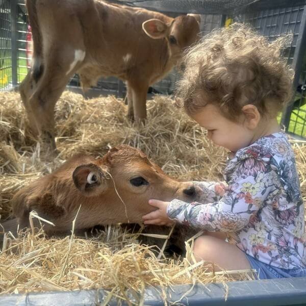 Намешалось