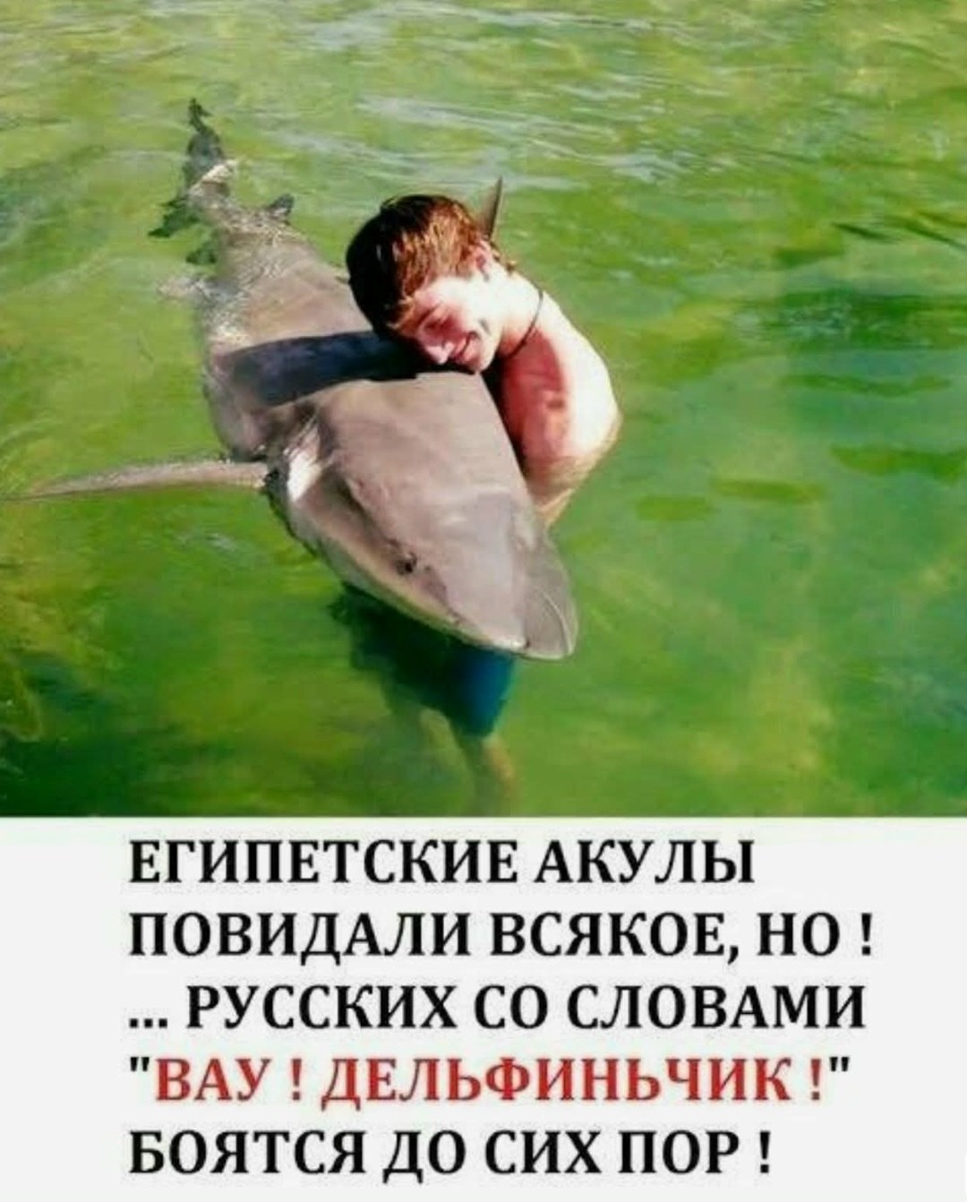 Большая миска улыбатора