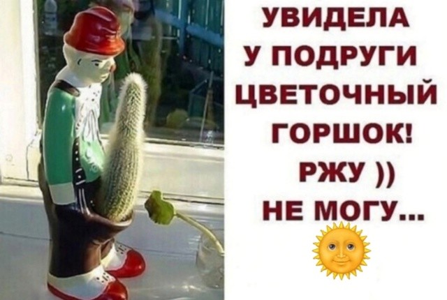 Большая миска улыбатора