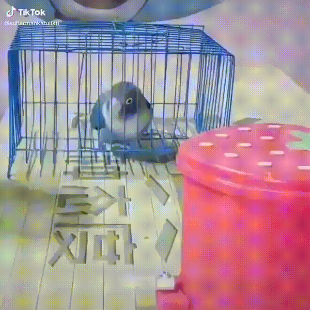 Просто гифки, всякие и&nbsp;разные