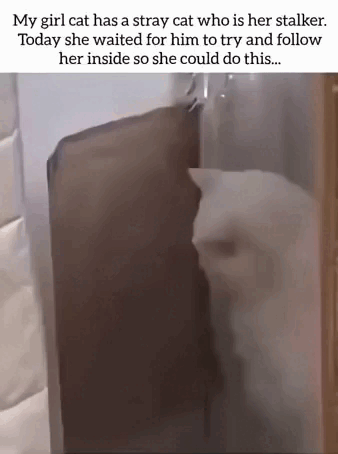 Просто гифки, всякие и&nbsp;разные