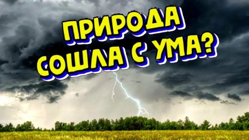 Моменты, когда природа сошла с ума