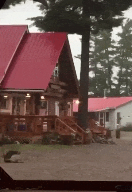 Просто гифки, всякие и&nbsp;разные