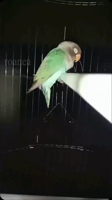 Просто гифки, всякие и&nbsp;разные