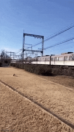 Просто гифки, всякие и&nbsp;разные