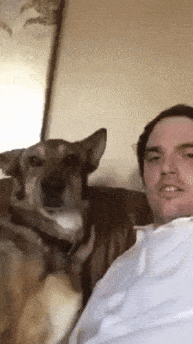 Просто гифки, всякие и&nbsp;разные