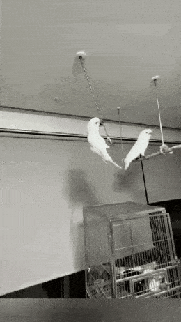 Просто гифки, всякие и&nbsp;разные