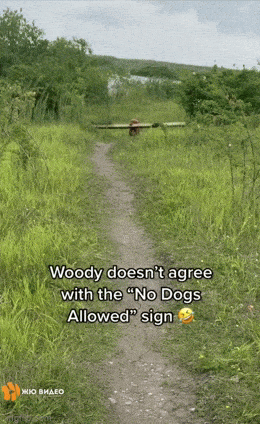 Просто гифки, всякие и&nbsp;разные