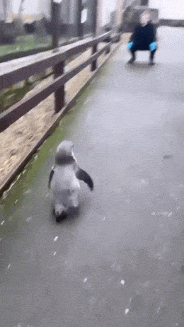 Просто гифки, всякие и&nbsp;разные