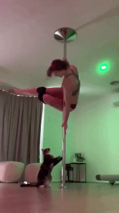 Просто гифки, всякие и&nbsp;разные