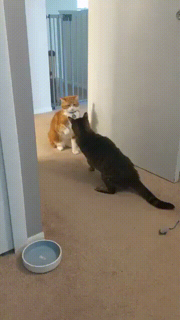 Просто гифки, всякие и&nbsp;разные