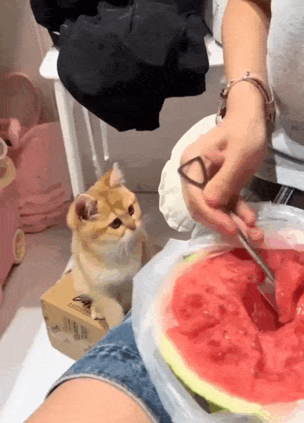 Просто гифки, всякие и&nbsp;разные