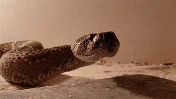 Просто гифки, всякие и&nbsp;разные