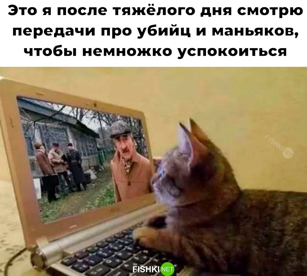Скрины из соцсетей