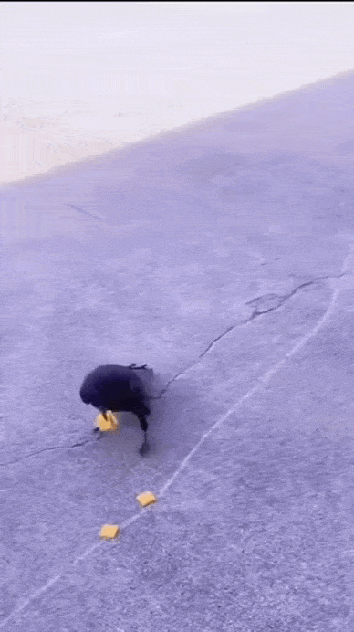 Просто гифки, всякие и&nbsp;разные