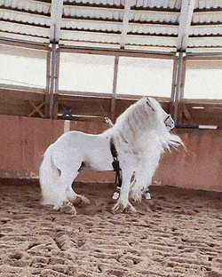 Просто гифки, всякие и&nbsp;разные