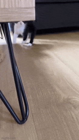 Просто гифки, всякие и&nbsp;разные