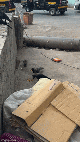 Просто гифки, всякие и&nbsp;разные