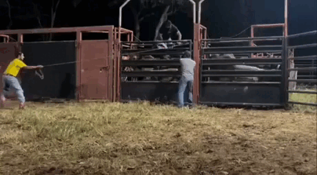 Просто гифки, всякие и&nbsp;разные