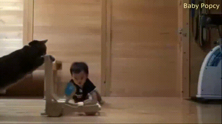 Просто гифки, всякие и&nbsp;разные