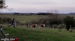 Просто гифки, всякие и&nbsp;разные