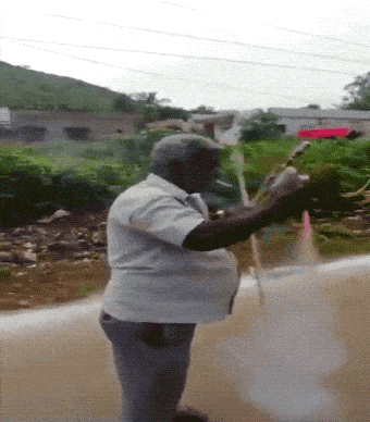 Просто гифки, всякие и&nbsp;разные