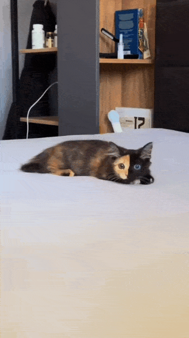 Просто гифки, всякие и&nbsp;разные