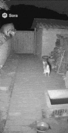 Просто вынес забор