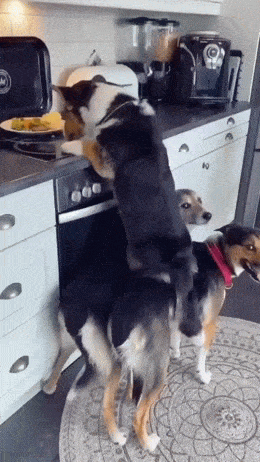 Работа в команде