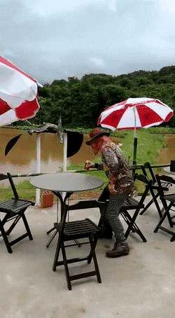 Вот и посидел