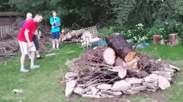 Безумие и еще раз безумие