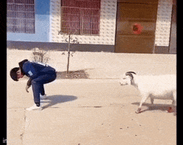 Просто гифки, всякие и&nbsp;разные