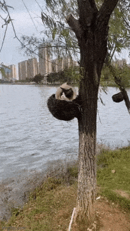 Просто гифки, всякие и&nbsp;разные