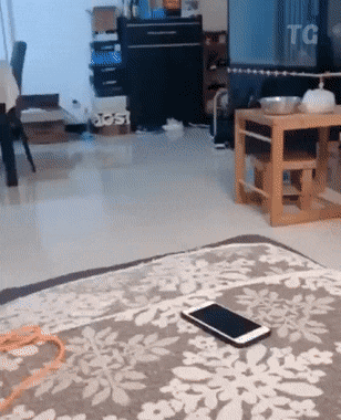 Просто гифки, всякие и&nbsp;разные