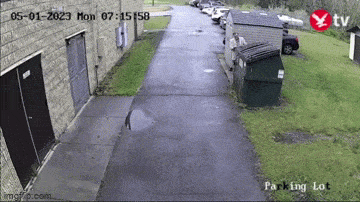 Просто гифки, всякие и&nbsp;разные