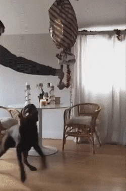 Просто гифки, всякие и&nbsp;разные