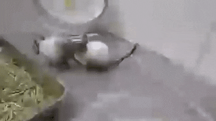 Просто гифки, всякие и&nbsp;разные