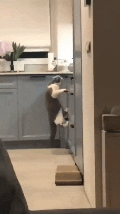 Просто гифки, всякие и&nbsp;разные