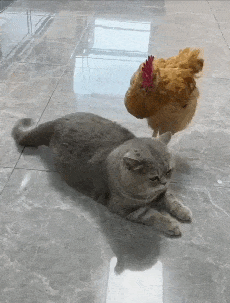 Просто гифки, всякие и&nbsp;разные