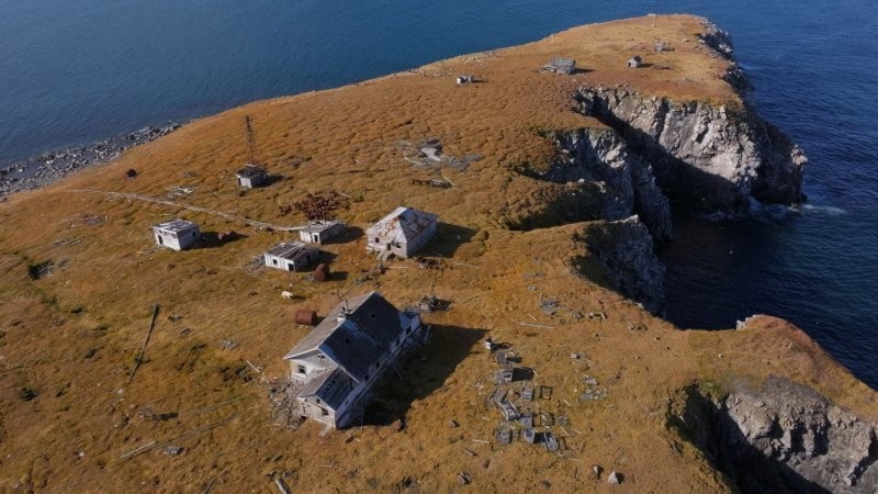 Белые медведи поселились на заброшенной советской станции