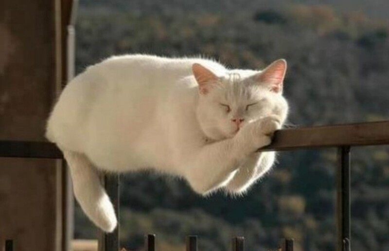 8. Идеальный баланс - гарантия удачного отдыха