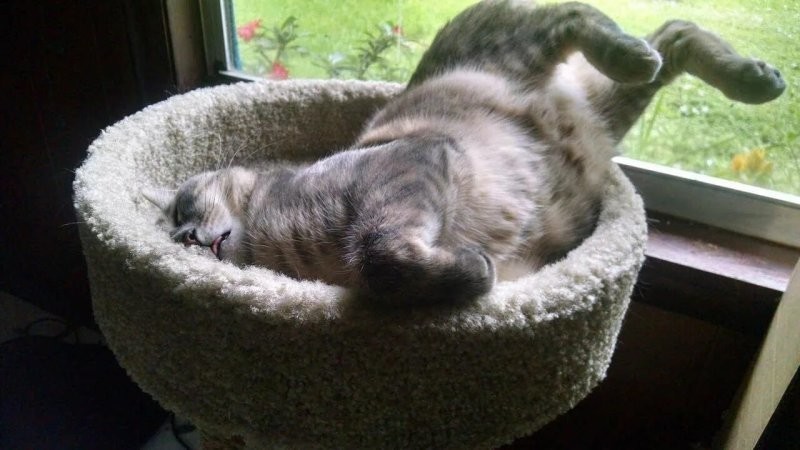 20. А вам слабо?