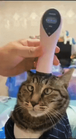 Чудное мгновенье