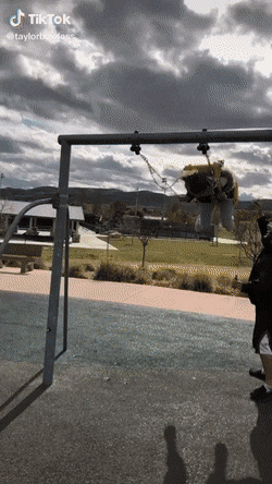 Качели не для взрослых