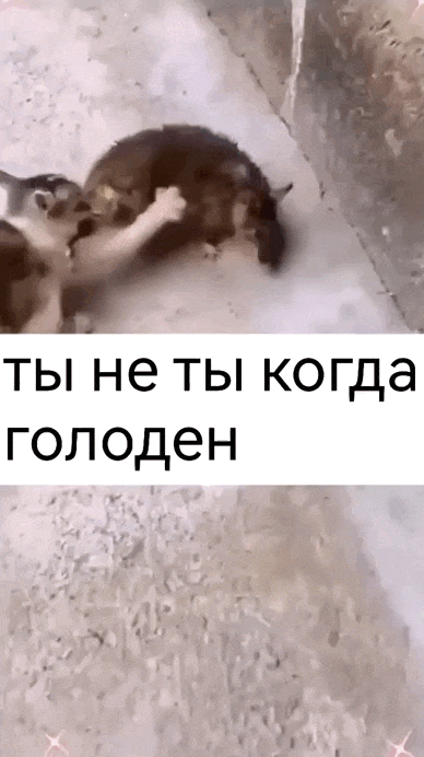 Просто гифки, всякие и&nbsp;разные